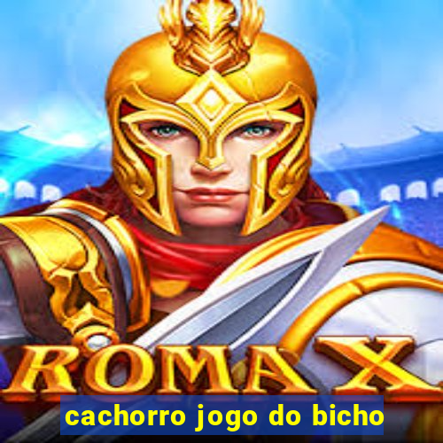 cachorro jogo do bicho